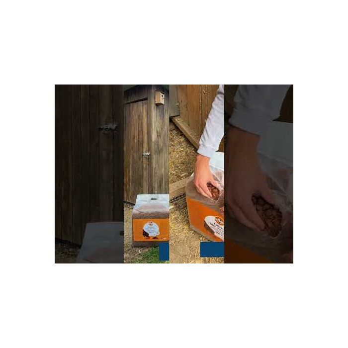 Litière chips de coco 100L 2 en 1 spécial basse-cour CHICK'A