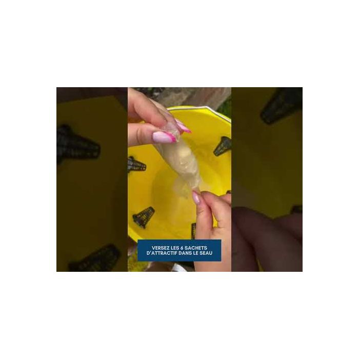 Seau piège à mouches Fly X 12 L + poudre attractive