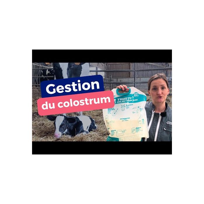 10 Sacs de colostrum avec embout et tube ANTAHI