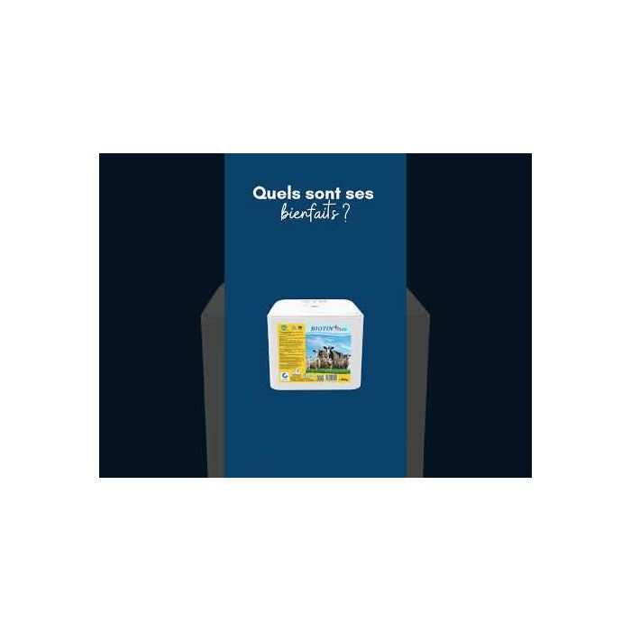 Bloc de pierre minérale à lécher à la biotine et à la vitamine E 10 kg IMIMA