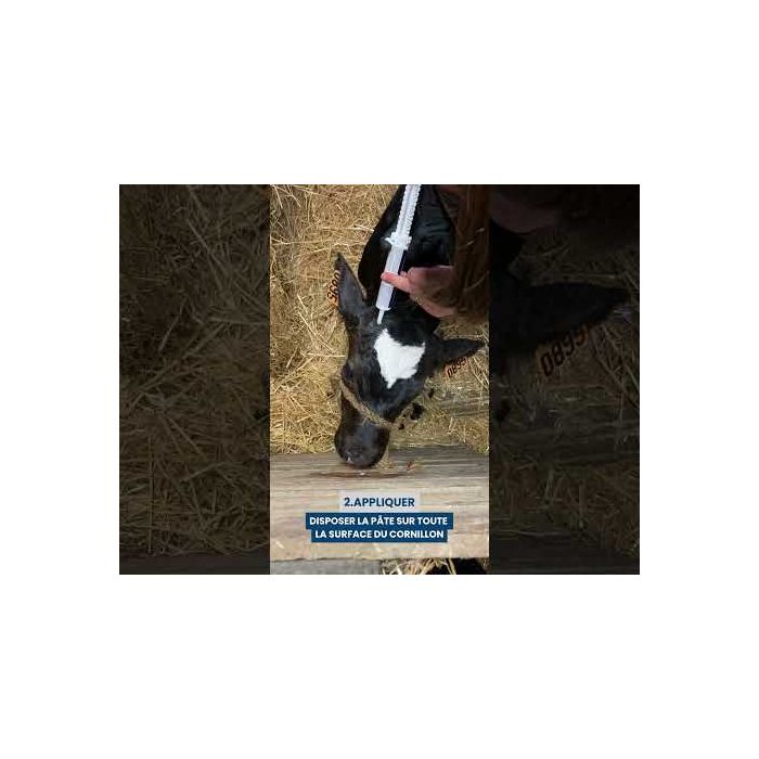 Pâte Nethorn pour écornage