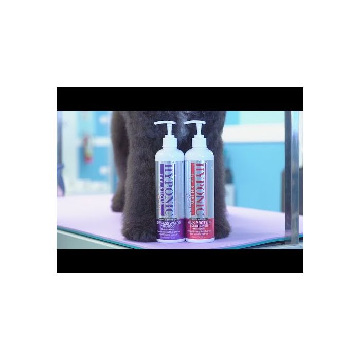 Shampoing volumisant 
