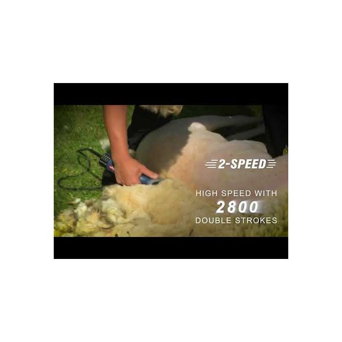 Tondeuse Heiniger Xpert, 2 vitesses pour Ovins