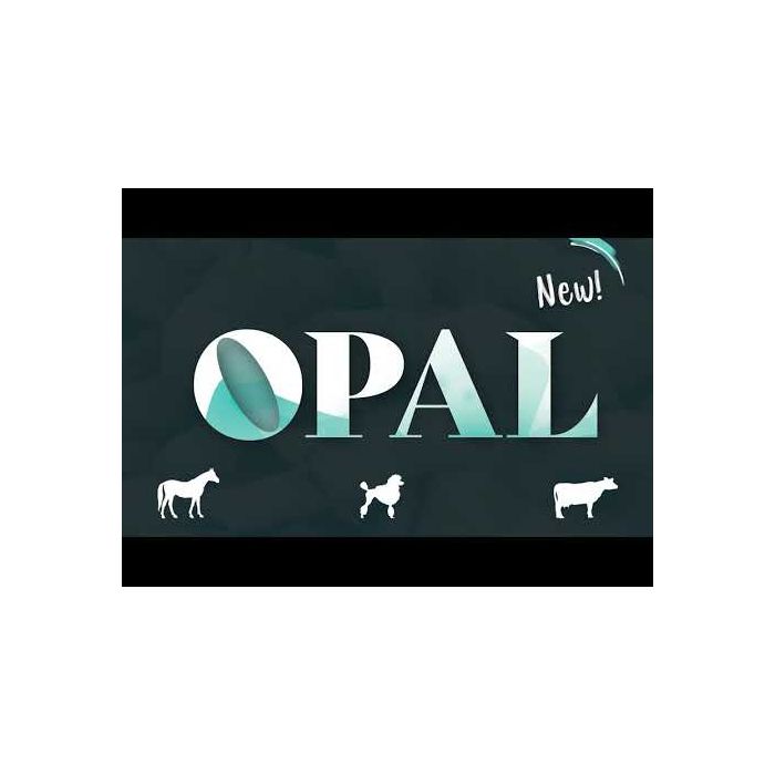 Tondeuse Opal 2 batteries HEINIGER