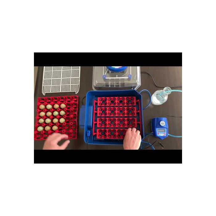 Couveuse LUMIA 16 œufs BOROTTO automatique