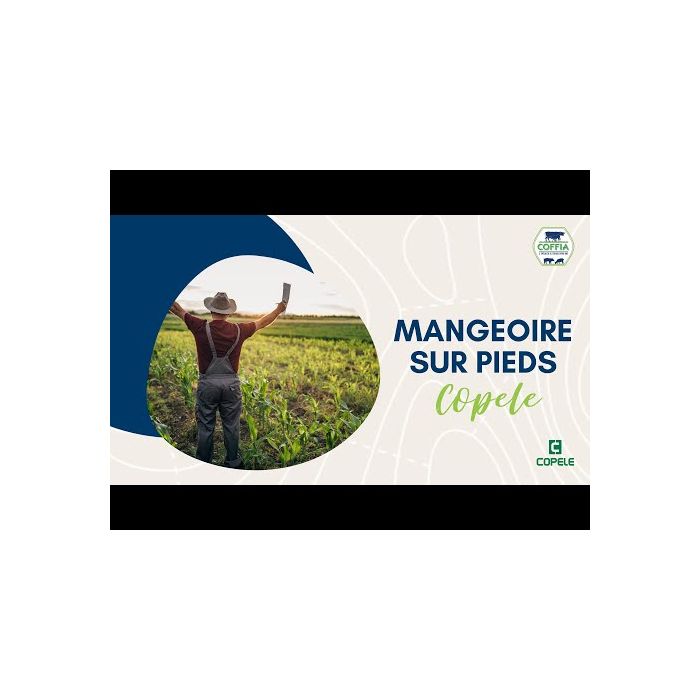 Mangeoire pour volailles sur pieds 40L COPELE