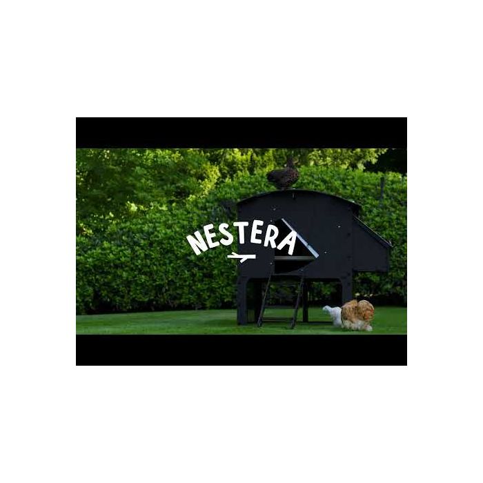 Poulailler recyclé avec pieds pour 8 à 15 poules grand modèle NESTERA