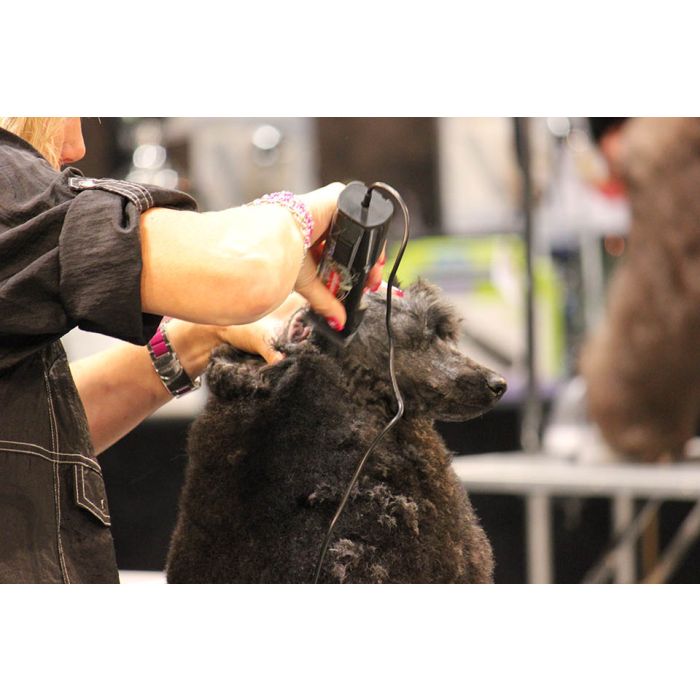 Tondeuse Saphir Cord HEINIGER