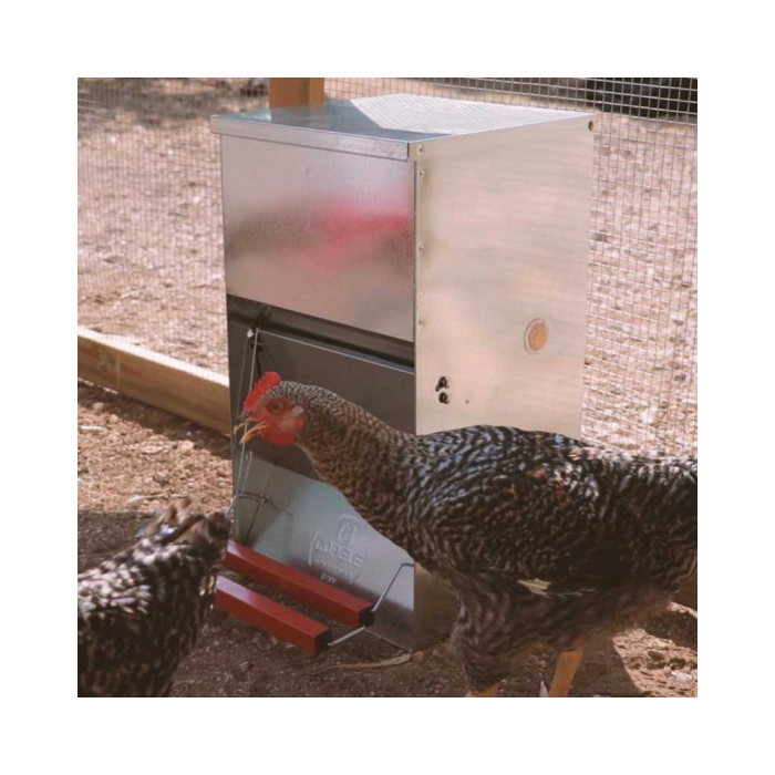 Mangeoire anti-nuisibles 20 kg pour 10 poules