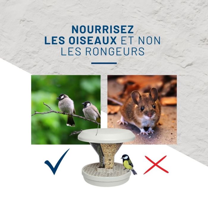 Mangeoire anti-nuisibles SMART BIRDS pour oiseaux bleue SWISSINNO