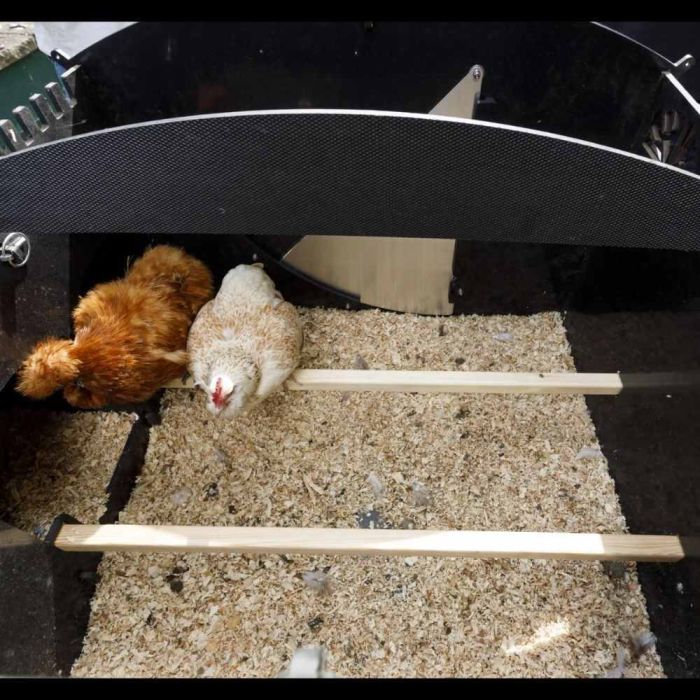 Poulailler recyclé avec pieds pour 8 à 15 poules grand modèle NESTERA