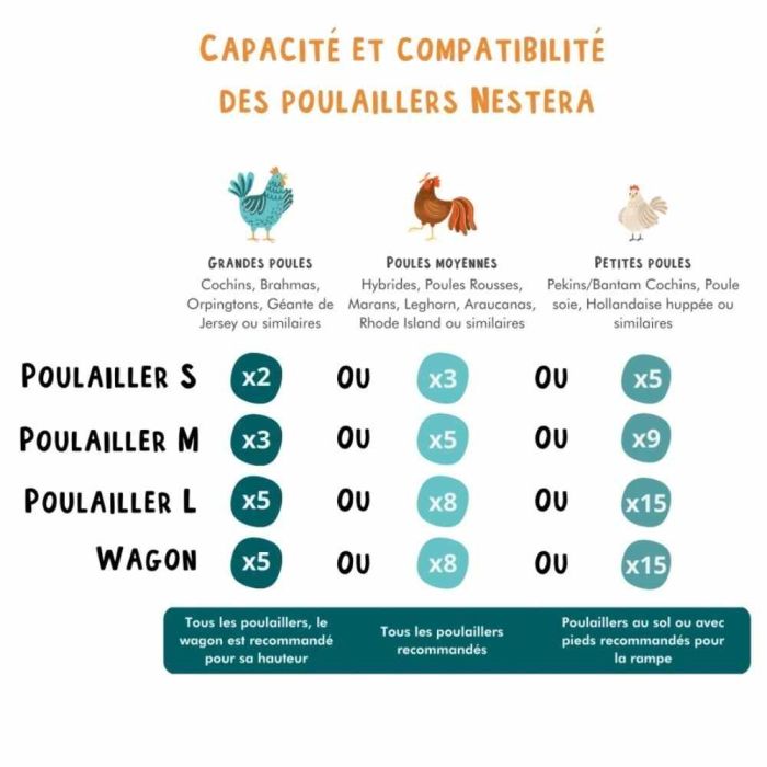 Poulailler recyclé avec pieds pour 8 à 15 poules grand modèle NESTERA