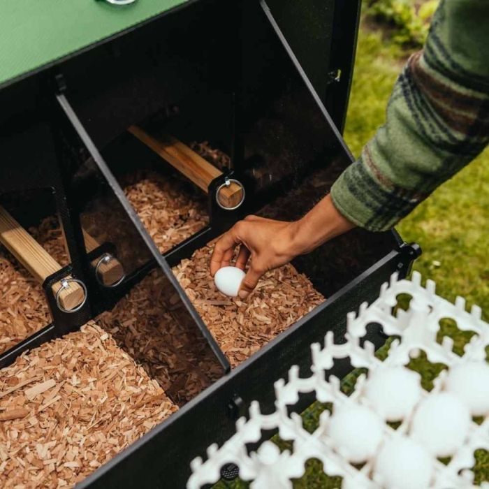 Poulailler recyclé avec pieds pour 5 à 9 poules modèle moyen NESTERA