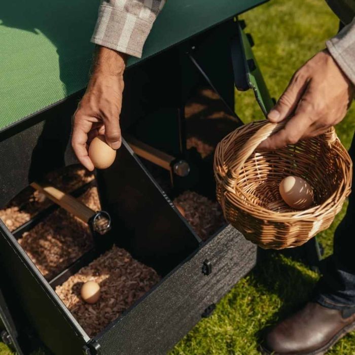 Poulailler recyclé au sol pour 8 à 15 poules modèle large NESTERA