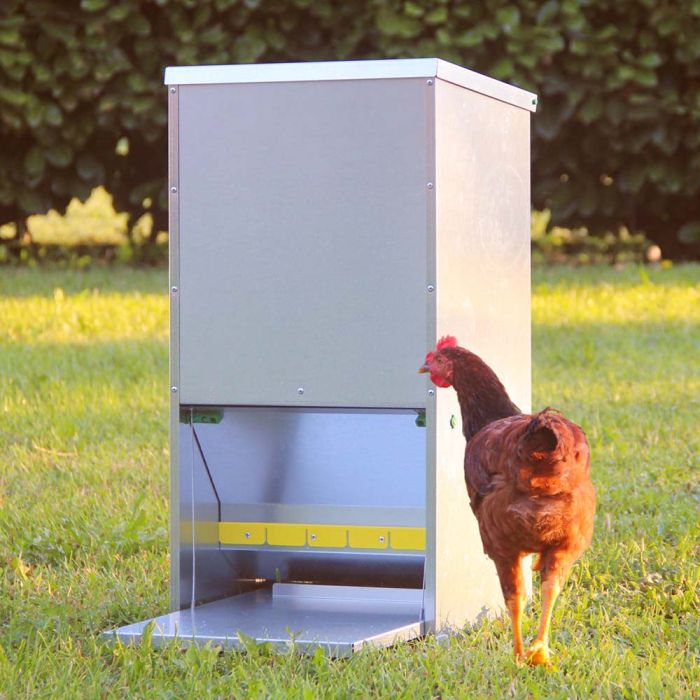 Mangeoire anti-nuisibles 6 kg pour 3 ou 4 poules