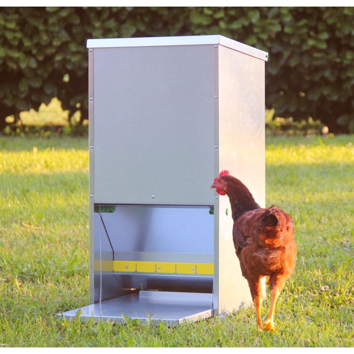 Mangeoire anti-nuisibles 20 kg pour 10 poules