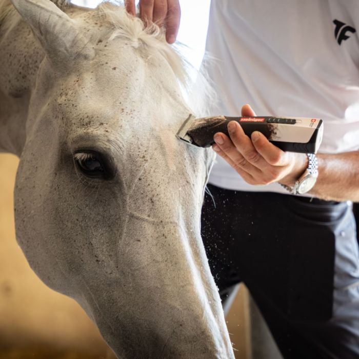 Tondeuse OPAL HORSE 1 batterie HEINIGER