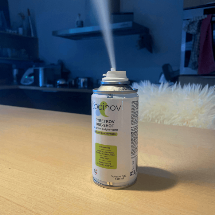 Aérosol insecticide One Shot contre les cafards et punaises de lit
