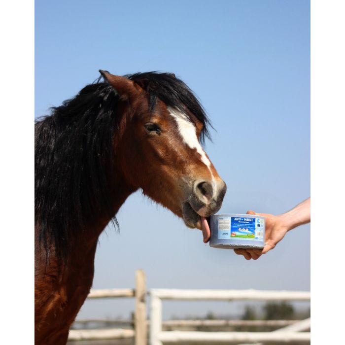4 pierres à lécher anti-insectes de 3 kg IMIMA