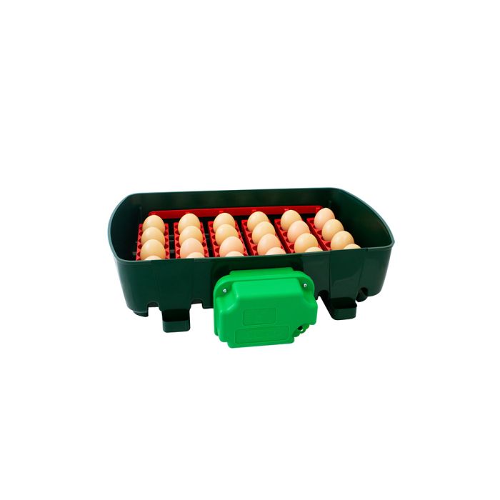 Couveuse automatique 24 oeufs RIVER