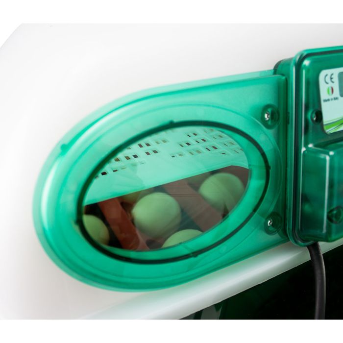 Couveuse automatique 24 oeufs RIVER