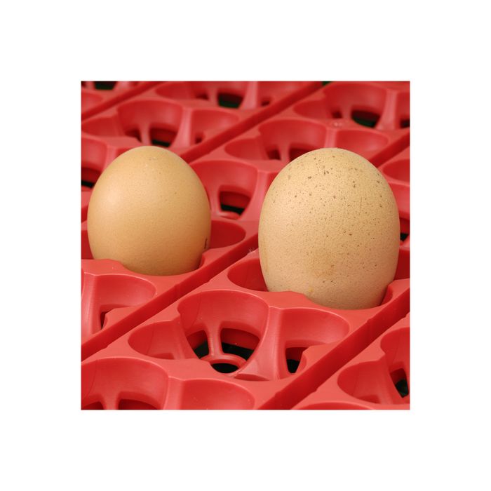 Couveuse automatique 24 oeufs RIVER