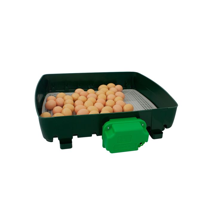 Couveuse automatique 49 oeufs RIVER