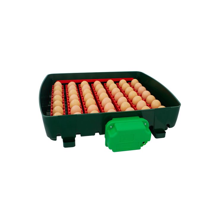 Couveuse automatique 49 oeufs RIVER