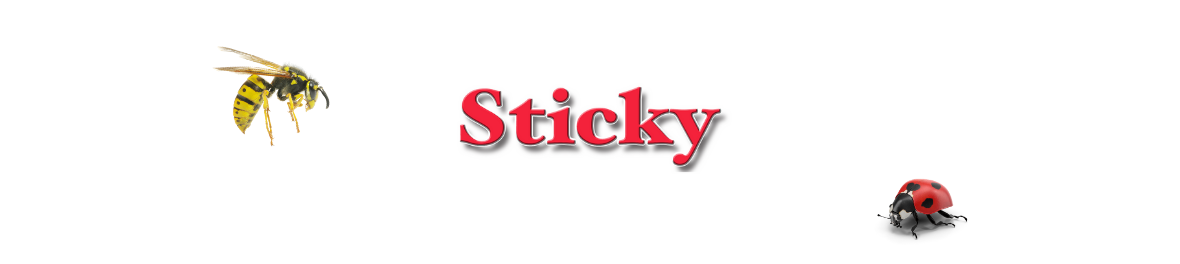 Sticky, attrape-mouches, anti-insectes