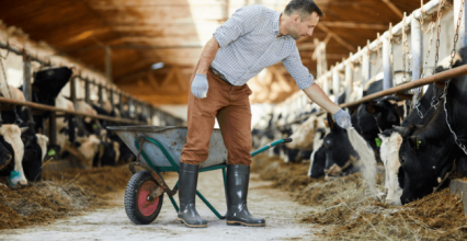 Se lancer dans la transformation à la ferme 