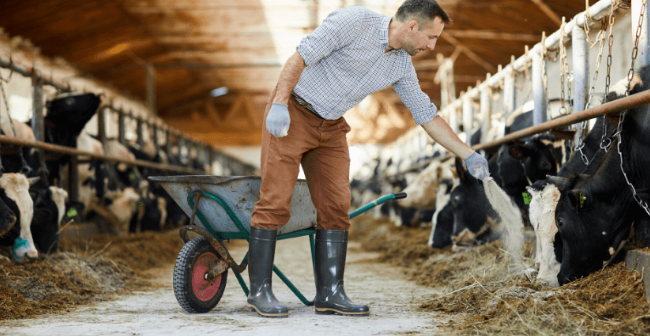 Se lancer dans la transformation à la ferme 