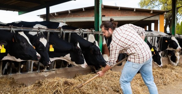 Nos conseils pour l’entretien de la ferme