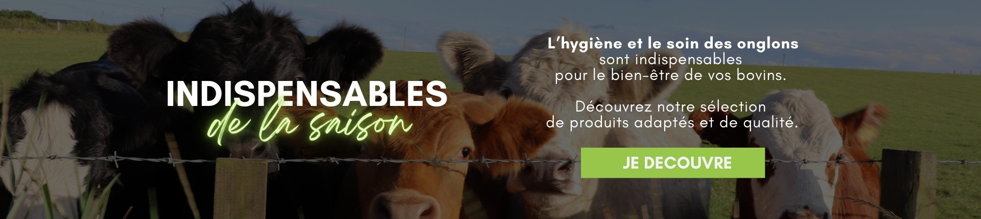 COFFIA-indispensable-de-la-saison-bovins